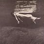 Undercurrent