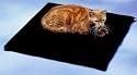 Allied Precision Small Heated Pet Bed