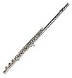 Barcelona Student Flute with Case and Accessories