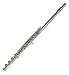 Musical Instruments : Austin Bazaar Silver Plated Flute with Case and Accessories