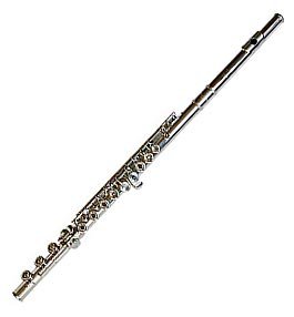 MusicalInstruments: Austin Bazaar Silver Plated Flute with Case and Accessories