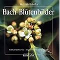 Bach-Bl�tenbilder, 38 Ktn. m. Beiheft