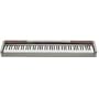 Casio Privia PX100 Digital Piano