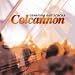 Colcannon, Covering our tracks