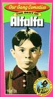 Our Gang: Best of Alfalfa