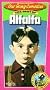 Our Gang: Best of Alfalfa [VHS]