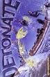 Santa Cruz Surf Presents "Detonate" Surfing DVD Video