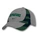 Michigan State Spartans Nike Youth Fitted Hats - 3-D Players Flex Fit