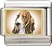 Clearly Charming Basset Hound Italian Charm