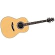 1777 Legend Acoustic Electric Guitar
