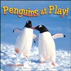 Penguins at Play 2009 Wall Calendar
