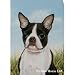 Boston Terrier Flag- 28" width x 40" length