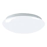 Buy American Fluorescent CMS2022ET Camden 1-22 Watt T9 Flush Mount Fixture, Shallow... by American Fluorescent
