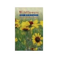 Wildflowers of Montana