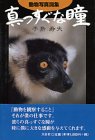 真っすぐな瞳―動物写真詞集