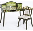 Levels of Discovery Heroes Rock Computer Desk and Chair Set