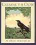 Carmine the Crow