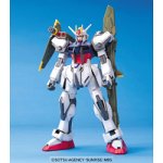 Gundam Seed 05 Launcher Strike Gundam Scale 1/100