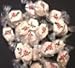 Apple Spice Poinsettia Taffy