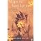 my favourite "ethnic" novels