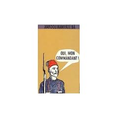 Oui, mon commandant! In kolonialen Diensten. Zweiter Band der Lebenserinnerungen