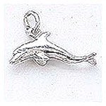 Dolphin Charm