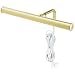 Tools & Hardware : Westinghouse Lighting 75051 Picture Light