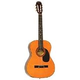 Lauren Steel String Acoustic Guitar