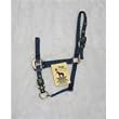 Hamilton Deluxe 3/4" Nylon Horse Halter with Adjustable Chin and Snap, Navy, Pony/Average Mini Donkey