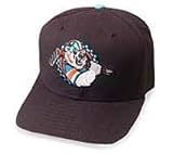 Charlotte Checkers East Coast Hockey League Cap