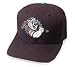 Charlotte Checkers East Coast Hockey League Cap