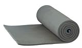 ALPS Mountaineering Foam Camping Mat (Regular 750)