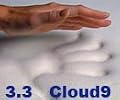 3.3 Cloud9 Twin XL 2 Inch 100% Visco Elastic Memory Foam Mattress Topper