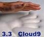 Waterproof Cover and Two Contour Pillows included with 3.3 Cloud9 Queen 4 Inch 100% Visco Elastic Memory Foam Mattress Topper
