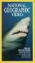 National Geographic Video: Shark Encounters [VHS]