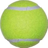 Economy Practice Tennis Balls - Quantity of 60