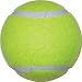 Tennis Balls - Economy Practice - Equipment