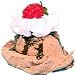 cover of CHOCOLATE ICE CREAM TOP Fake Food
