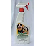 (Price 1)Petastic Stain And Odor Remover 24oz Trigger Spray by Top Dawg Pet Supplies