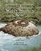A Water Snake's Year by Doris Gove