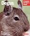 Barrons Books Degu Manual