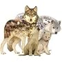 Sunsout Wolf Song Shaped 1000 Piece Jigsaw Puzzle