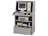 Stationary Computer Security Cabinet