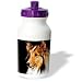 image 12 - Dogs SheltieShetland Sheepdog Sheltie Shetland SheepDog Water Bottles