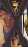The Sexacutioner DVD (All Regions PAL)