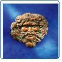 Copper 16 H x 17 W BACCHUS Wall Art SCULPTURE Greek God Wine Fertility PLAQUE by Good Directions