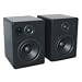 Blue Raven Maestro 2020 20W Bluetooth Speaker – Black (60824)