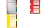 Leitz: Leitz Reg.Blank A4sm Kt 6farb 4358