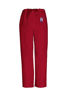 Unisex Pant for Men or Women - Team logo embroidered patch featured on left pant leg (Los Angeles Clippers, L )