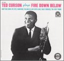 Plays Fire Down Below [VINYL]